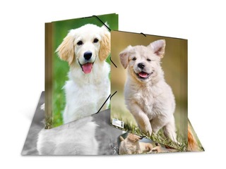 Kaust 3 klapi ja kummiga Herma, A4, PP