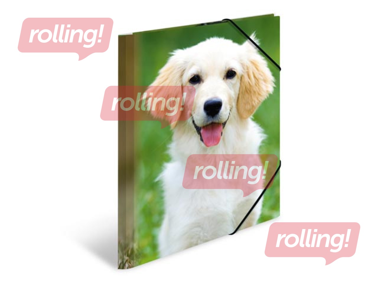 Kaust 3 klapi ja kummiga Herma, A4, PP