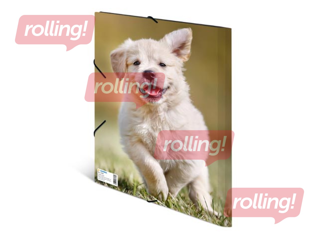 Kaust 3 klapi ja kummiga Herma, A4, PP