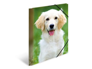 Mape ar 3 atlokiem un gumijām Herma, dzīvnieku apdruka, A4, PP