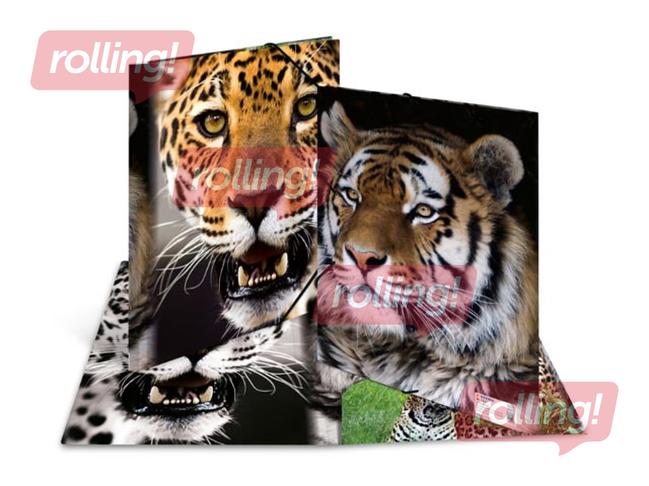 Folder with 3 flaps and rubbers Herma, A4, PP