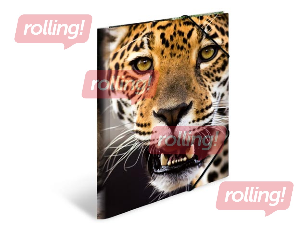 Folder with 3 flaps and rubbers Herma, A4, PP