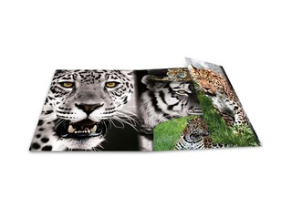 Folder with 3 flaps and rubbers Herma, A4, PP