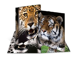 Папка с 3-мя клапанами и резинками Herma, A4, ПП