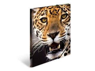 PROMO Kaust 3 klapi ja kummiga Herma, A4, PP