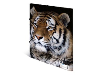 PROMO Kaust 3 klapi ja kummiga Herma, A4, PP