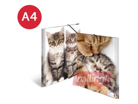 Kaust 3 klapi ja kummiga Herma, A4, PP