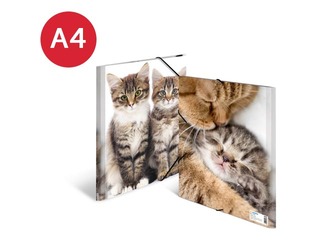 Kaust 3 klapi ja kummiga Herma, A4, PP