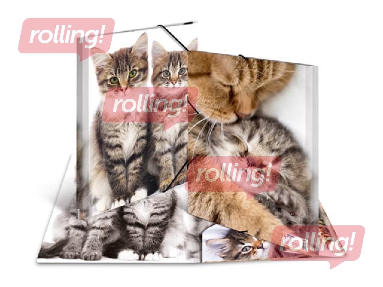 Kaust 3 klapi ja kummiga Herma, A4, PP