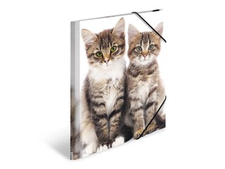 Kaust 3 klapi ja kummiga Herma, A4, PP