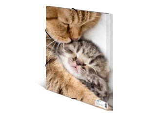 Kaust 3 klapi ja kummiga Herma, A4, PP