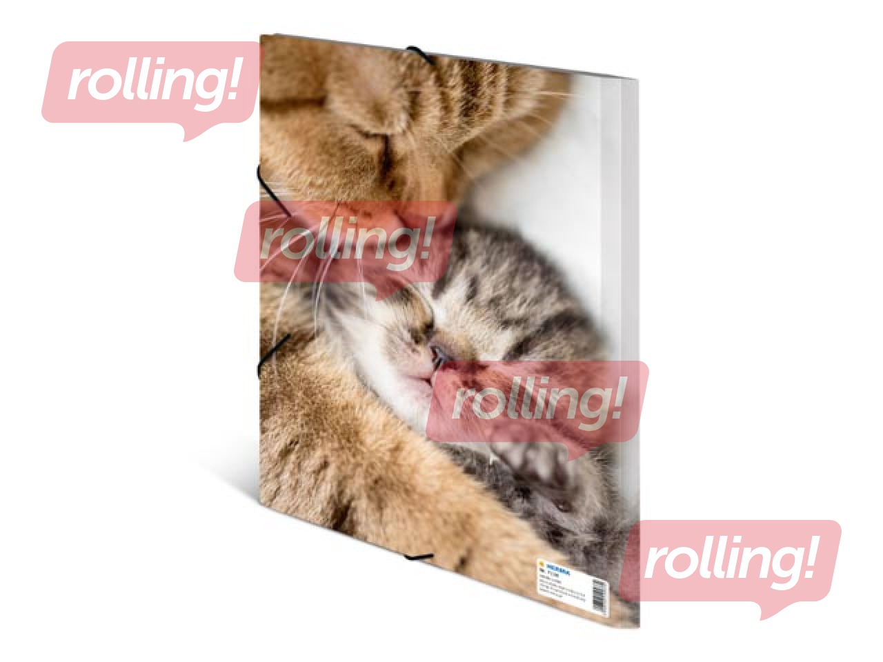 Kaust 3 klapi ja kummiga Herma, A4, PP