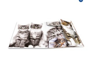 Kaust 3 klapi ja kummiga Herma, A4, PP