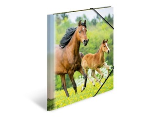 Folder with 3 flaps and rubbers Herma, A4, PP