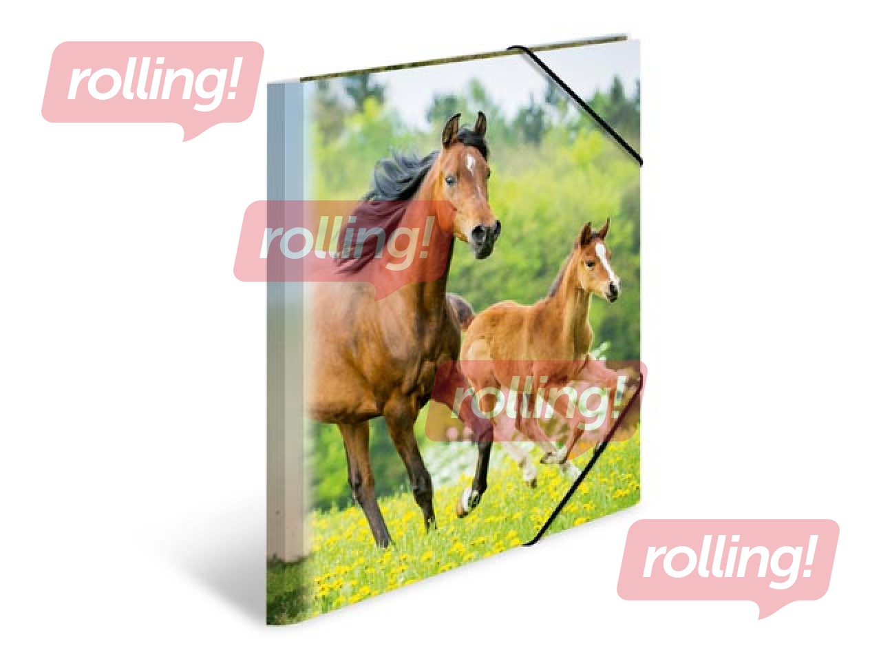 Folder with 3 flaps and rubbers Herma, A4, PP