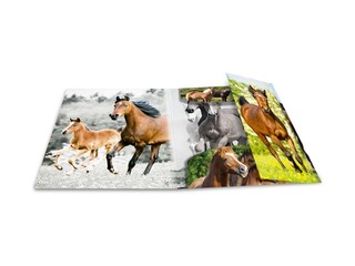 Folder with 3 flaps and rubbers Herma, A4, PP