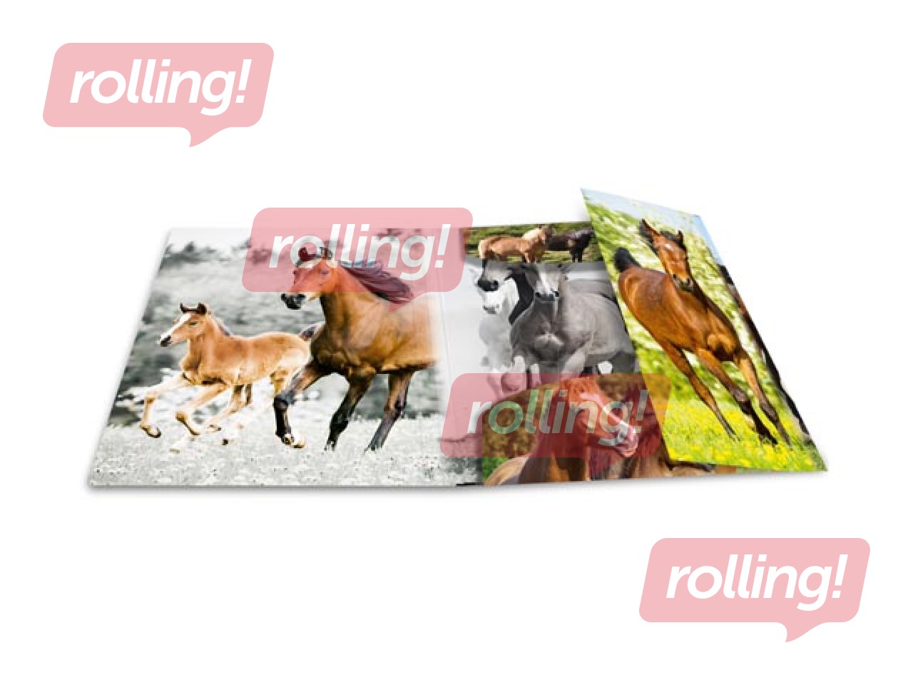 Folder with 3 flaps and rubbers Herma, A4, PP