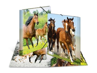 Kaust 3 klapi ja kummiga Herma, A4, PP