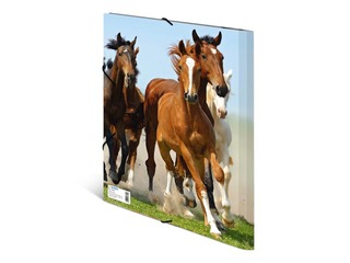 Kaust 3 klapi ja kummiga Herma, A4, PP