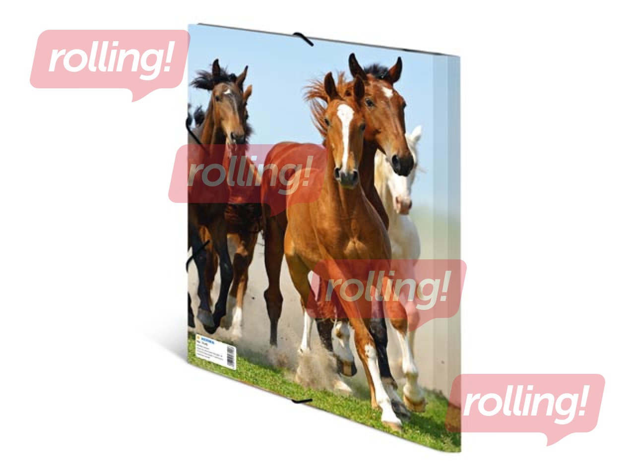 Kaust 3 klapi ja kummiga Herma, A4, PP