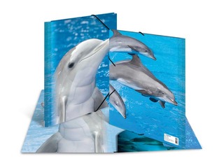 Kaust 3 klapi ja kummiga Herma, A4, PP