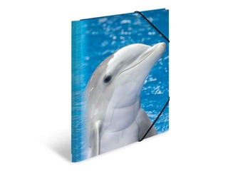 Kaust 3 klapi ja kummiga Herma, A4, PP