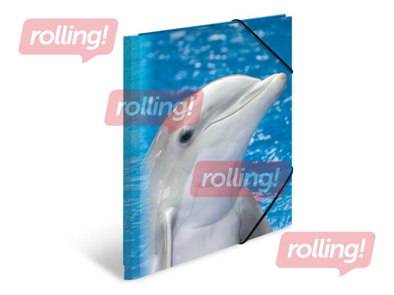 Kaust 3 klapi ja kummiga Herma, A4, PP