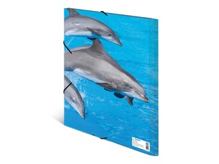 Kaust 3 klapi ja kummiga Herma, A4, PP