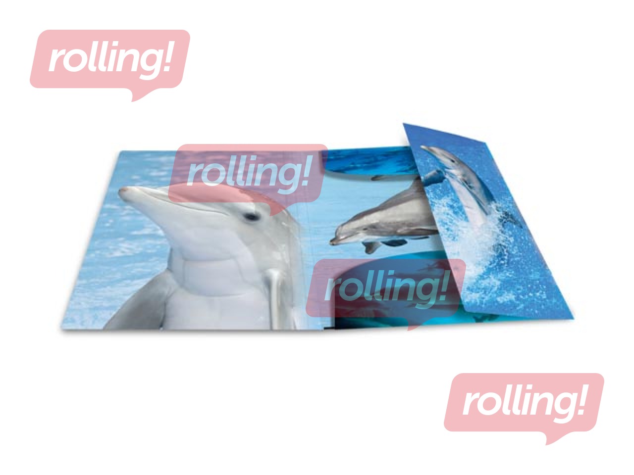 Kaust 3 klapi ja kummiga Herma, A4, PP