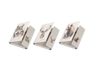 3-Flap Folder Pagna Save me No.5, A4, animals