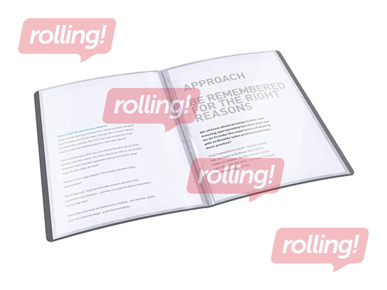 Mape ar 20 kabatiņām Esselte, A4, melna