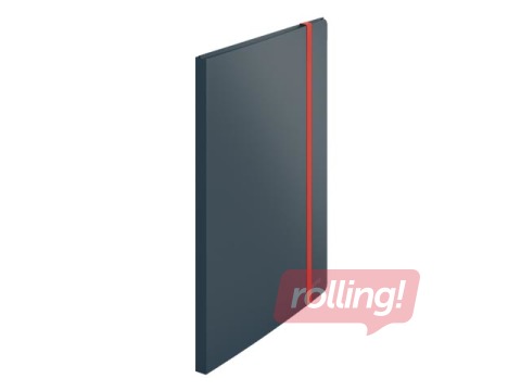 20 taskuga kaust Leitz Cozy, A4, hall 