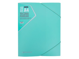 Folder-box Astra, with 3 tabs and rubber bands, A4, pastel colors
