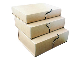 Archive box SM·LT with ties, 60mm, brown