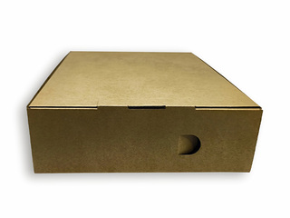 Arhiivikarp SM·LT 335x250x82mm, kartongist, pruun