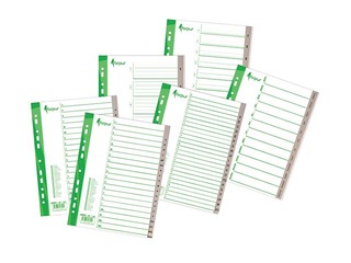 Index Forpus 1-12, A4+, PP, grey