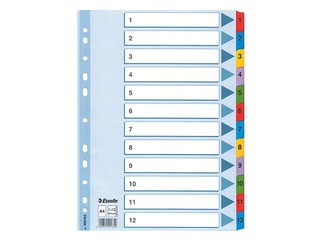 Index Esselte 1-12, A4, cardboard