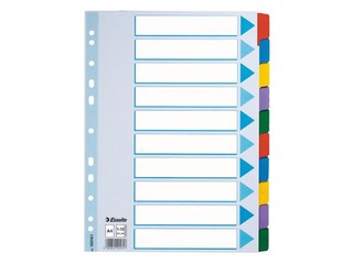 Разделитель документов Esselte, картонный, A4, 10 отделений без цифр, цветной