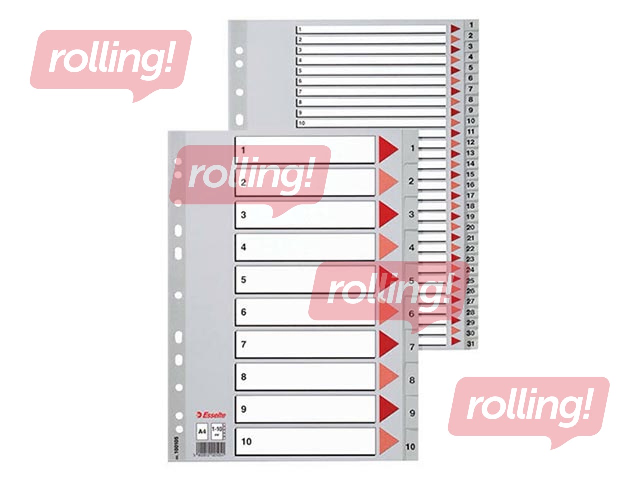 Dokumentu sadalītājs Esselte 1-20, A4, PP, pelēks