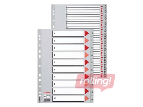 Esselte vahelehed 1-20, A4, PP, hall