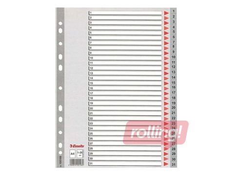 Esselte document splitter 1-31, A4, PP, gray