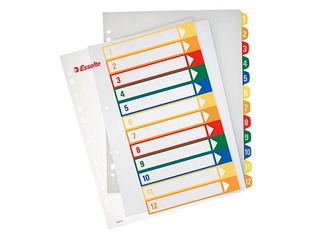 Sadalītājs dokumentiem Esselte Project A4, 1-12, plastikāta