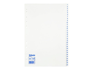 Dokumendijaotur Esselte 1–31, A4, PP, valge