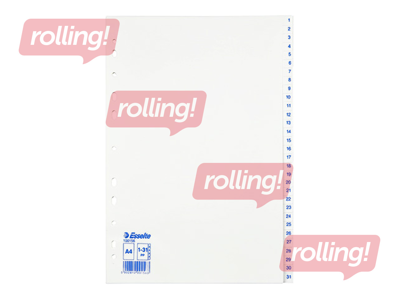 Разделитель документов Esselte 1–31, A4, PP, белый