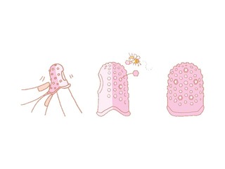 Sõrmekumm, erinevat värvi, 2 tk.