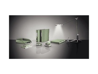 Auguraud Leitz Style Metal, 30l., roheline