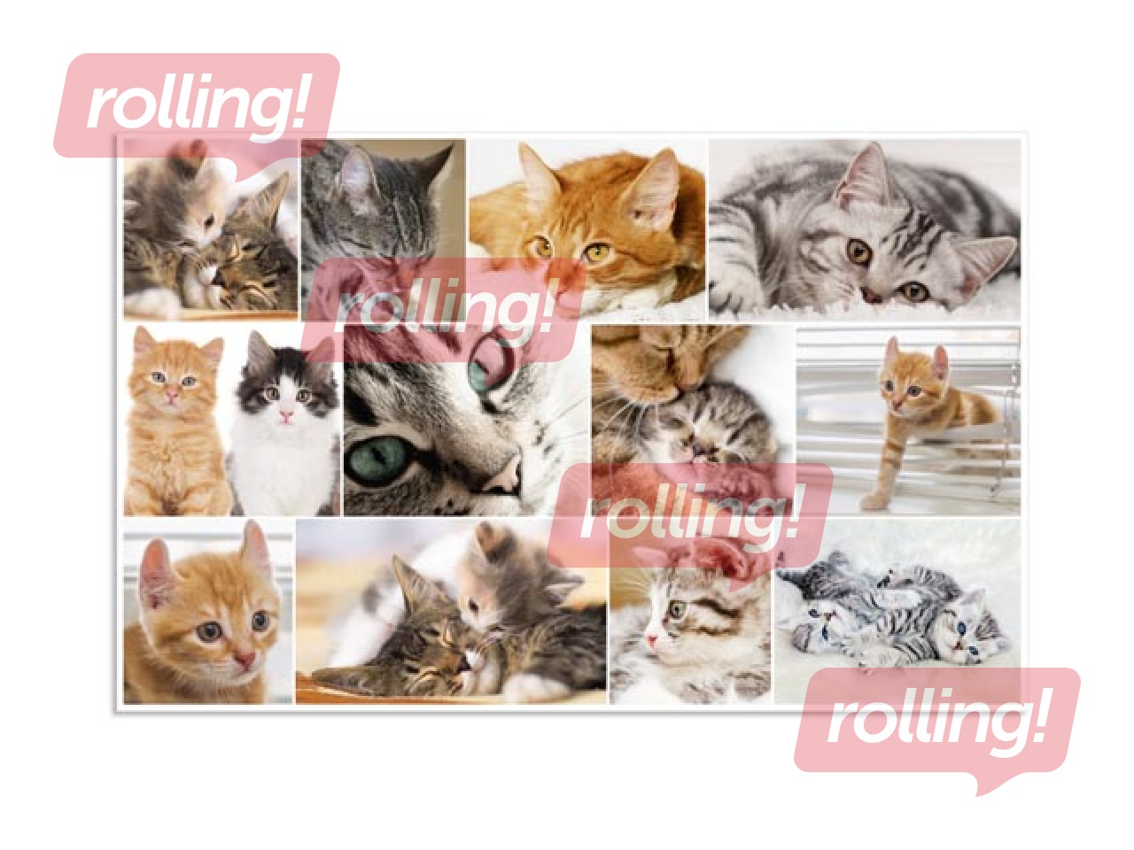 Lauaalus, loomade motiiviga, 55x35cm