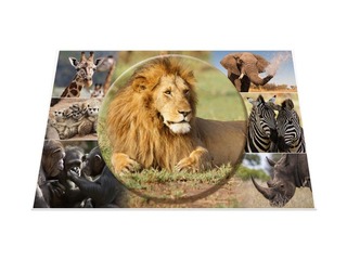 Desk pad with animals motif, 55x35cm