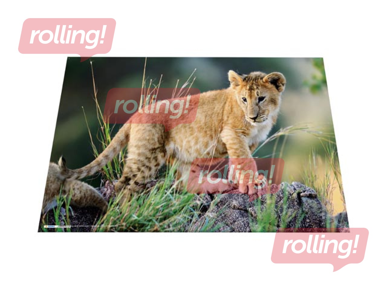 Desk pad with animals motif, 55x35cm