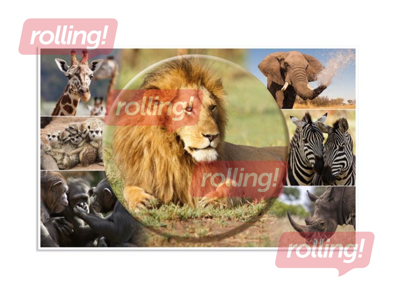 Lauaalus, loomade motiiviga, 55x35cm